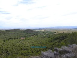 Yacimiento de la Almoloya 2007